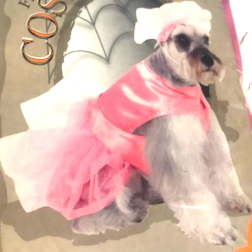 Casual Canine ** doggie